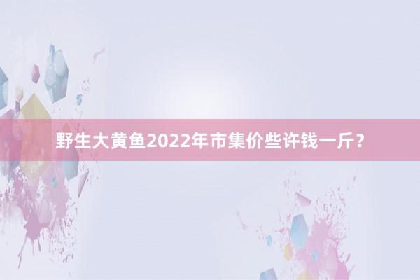 野生大黄鱼2022年市集价些许钱一斤？
